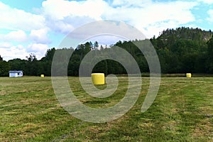 Hay packed in yellow plastic film in round rolls on a green field