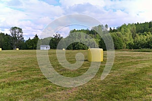 Hay packed in yellow plastic film in round rolls on a green field