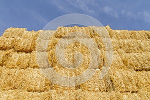 Hay packs piled up