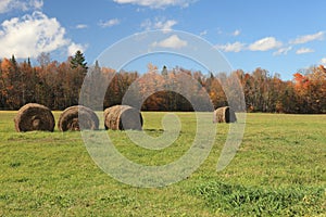 Hay In Pasture