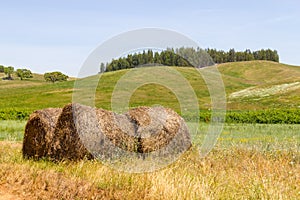 Hay pile in a farm field in Vale Seco, Santiago do Cacem photo