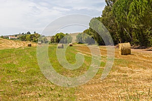 Hay pile in a farm field in Vale Seco, Santiago do Cacem photo