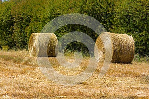 Hay pile in a farm field in Vale Seco, Santiago do Cacem photo