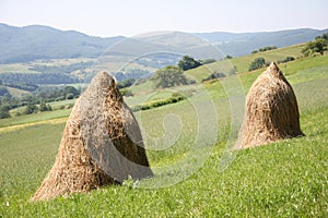 Hay piles on the mountains field