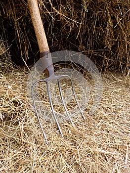 Hay pitchfork on the background of hay by the wall of the stable