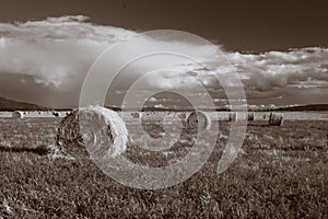 Hay on the prairie.