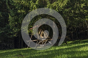 Hay rack in forest near Velky Choc hill