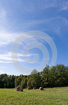 Hay roll bales in field against forest during sunny summer day with clouds in sky, cattle fodder over winter time