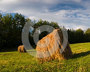 Hay roll bales in field against forest during sunny summer day with clouds in sky, cattle fodder over winter time
