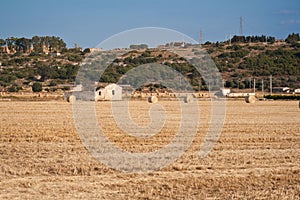 Hay roll in the country 1