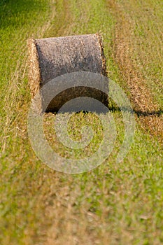 Hay roll on field