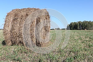 Hay roll lying on a sloping field in autumn