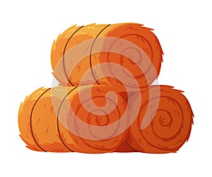 Hay Rolled and Tied with Rope as Dried Grass for Fodder Vector Illustration