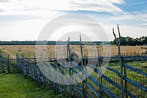 Hay rolls after harvesting grain and wheat. Agriculture concept