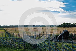 Hay rolls after harvesting grain and wheat. Agriculture concept