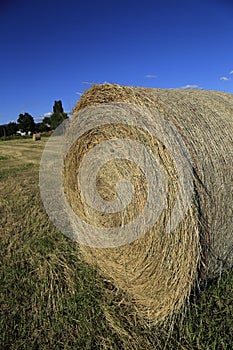 Hay Rolls