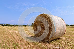 Hay rolls on a village field in northern Italy. Beautiful sunny spring day