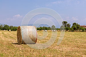 Hay rolls on a village field in northern Italy. Beautiful sunny summer day