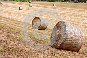 Hay rolls on a village field in northern Italy. Sunny spring day Selective Focus Northern Italy