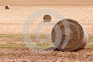 Hay rolls on a village field in northern Italy. Sunny summer day Selective Focus