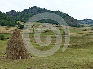 Hay`s blow to form of cone in the countryside of the Maramures in Romania.