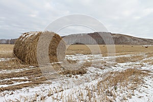Hay sheaves on a snow-covered field