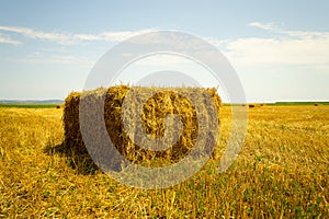 Hay stack on the agriculture field - landscape view