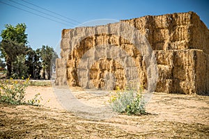 Hay Stack Wall. Straw bales