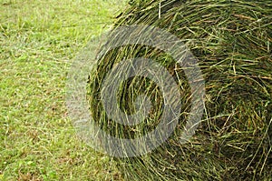 Hay stacks