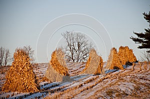 Hay Stacks in Amish Country