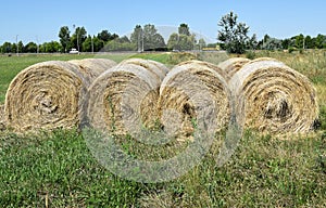 Hay stacks