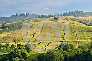Hay stacks on the meadow