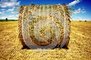 Hay stacks nature landscape fields