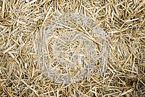 Hay or straw background texture