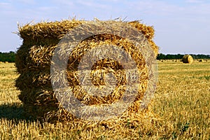 Hay Straw Bale On Agricultural Field, Hay Roll At Autumn Season