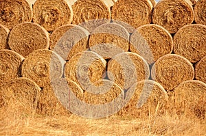 Hay and straw bales in the end of summer