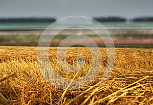 Hay straw stack on field