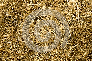 Hay texture