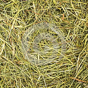 Hay texture background