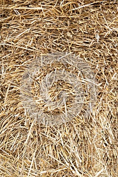 Hay Texture Background, Straw Pattern, Dry Golden Grass Mockup, Dry Baled Hay Bales Stacks Banner