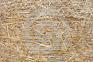 Hay Texture Background, Straw Pattern, Dry Golden Grass Mockup, Dry Baled Hay Bales Stacks Banner