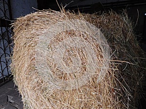 Hay, hayroll close up