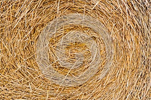 Hay texture. Hay bale is stacked in large stack. rural autumn with hay. straw summer background. haystack straw prepared