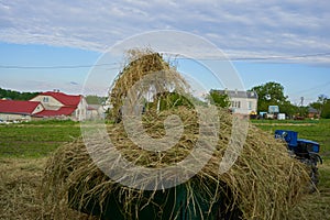 hay on a tractor trailer, harvesting hay, a man loading hay onto a tractor trailer