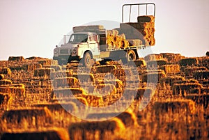 Hay Truck