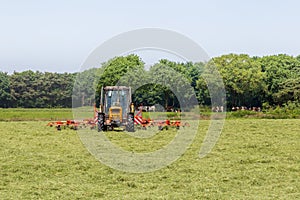 Hay truning to dry grass in the sun on the field in the Netherlands