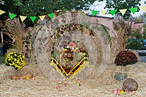 Hay with vegetables. beautifully decorated photo area.
