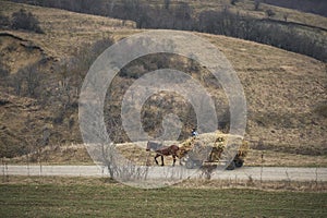 hay wagon drawn by a horse