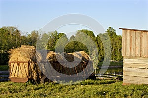 Hay Wagon at Wade House    802582