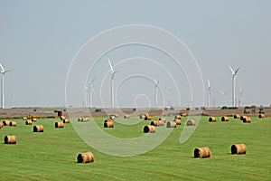 Hay and wind farm